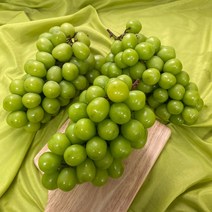 가정용 샤인머스켓 샤인머스캣 직송 1kg 2kg, 2kg (3~6수)
