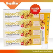 [이쏘] 메가맥스 뉴질랜드 프로폴리스 치약 160g x 1개 4222EA, 쿠팡 1, 쿠팡 본상품선택