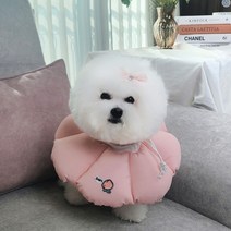 리치독스 강아지 고양이 중성화 자수방수넥카라, 핑크