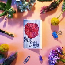 기타 바보사랑[언리미티드 러브 플러스]Unlimited Love Plus_Message Card_HappyB-Day_Redflower