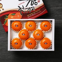 [빛과나무] 자연속 빛가득 제주천혜향세트 3kg(6-10입/특품), 상세 설명 참조