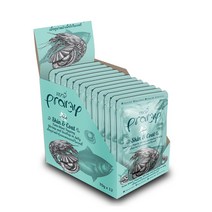 [BETTER GO] 프라미 어덜트캣 스킨&코트 70G X12개 고양이 대용량 파우치 습식 간식