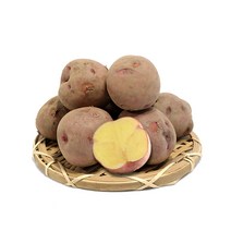 GAP인증 속노란 하동 자색유황감자 (중) 1.8kg 외 / 홍감자 2022년 가을수확 햇감자, 1박스