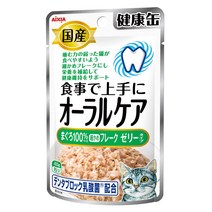 아이시아 건강캔파우치 오랄케어 젤리 참치후레이크40g(KZJ11)x12개, 1개