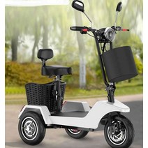 세발 전기자전거 전기 리튬배터리 도난방지, 상세 페이지 참고, B타입 l하단상세이미지참조l