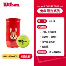윌슨테니스공 US 연습구 듀티 롤랑가로스 스트링 챔피언쉽 엑스트라 테니스공 ITF 테니스볼, 06