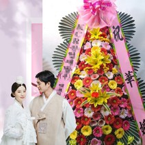 축하화환 아일랜드하우스 대구 수성구 두산동 꽃집 시상식 출판회 화환 꽃배달