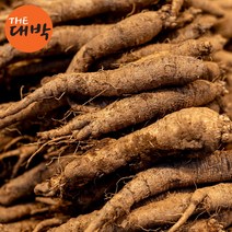 6년근 더덕 1kg 강원도 정선 산더덕, 산더덕(장아찌용) 4kg