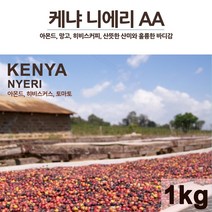 라이프빈 케냐니에리AA 원두커피 1kg / 사은품 더치200ml, 프렌치프레스