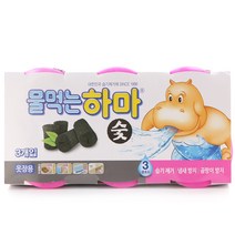물먹는하마 참숯 옷장용 3개입 X 3팩 /9개입/습기제거/냄새방지/곰팡이방지/장마대비