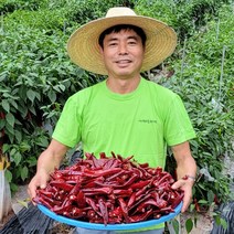영양 건고추 2023 햇고추 5근 3kg 세척완료 산지직송 국산, 영양고추(꼭지없음), 1개
