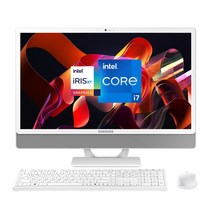 삼성 일체형PC 올인원PC DM530ADA-L78AH+8GB+1TB (인텔 i7-1165G7 60.5cm WIN11 16GB 512GB SSD 1TB HDD), WIN 11, L78A +8GB +HDD 1TB