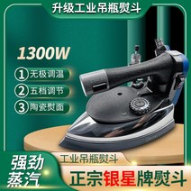 공업용 다리미 스팀 업소용 세탁소 실버 스타, 단일사이즈, ES-300L