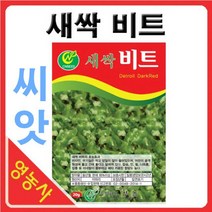 새싹비트씨앗-새싹채소/새싹씨앗/학습용/실험용, 필수선택:베이비적오크
