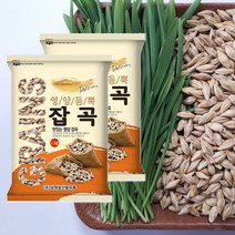 삼원농산 겉보리 (새싹보리씨앗) 1kg/2개 (2kg) 2022년산 보리