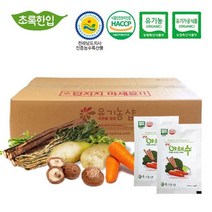 GO2shop GO2shop_ 도라지청 몸에좋은발효액 오가피원액 선물용오미자청 과일농축청, ★선택* 오가닉 생생 야채수(국내산) 110ml 60포, 이제품주문★