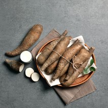 [더조은푸드] [서안동농협] 유명산지 산마 못난이특 2kg