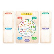 유치원 어린이집 환경꾸미기 - 급식실 영양소 게시판 단품