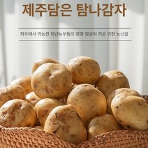 제주 성산 감자 수미감자 햇감자 탐나감자 3kg 5kg 10kg, 감자 5kg 중상 (80~150g)