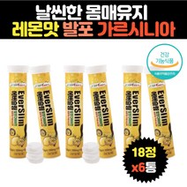 날씬한 몸매유지 레몬맛 가르시니아 발포다이어트 6통 나이아신 판토텐산 상큼한 맛있는다이어트 튜브형포장 탄수화물컷팅제 체지방감소 체내대사활성 에너지보충 활력충전 복부 군살