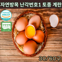 6시내고향 HACCP 인증 무항생제 난각번호1번 토종란 자연방사 동물복지 유정란 토종닭 알 자연 방목계란 생계란 유황 신선란 부화용 금계 프리미엄 달걀 정기배송 번호 30구, 토종란 30구*2개