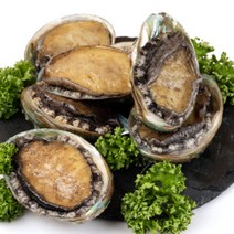 완도 활 전복 제철 1kg 산지직송, 7)전복 꼬마 35~40미 1kg, 1개