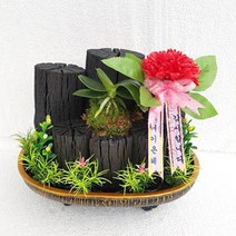 희망참숯농원 어버이날선물 은혜6번(고급타원)