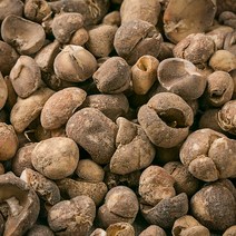 국산 패모 600g 한방재료 한약재 약초, 12YE_국내산 패모 600g