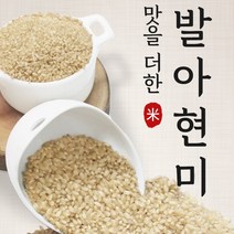 소화가편한 발아 현미 찰현미 1kg 찹쌀 쌀 잡곡 효능, 발아현미 1kg, 1개