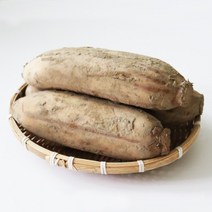 [절임연근] 후니팜 햇 연근 국산연근 흙연근 특품 1kg 3kg 5kg 10kg