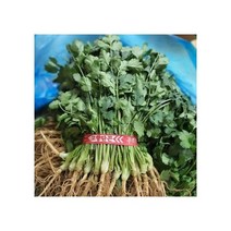 [신중국식품] 고수350g. 중국향차이. 야채고수, 1개