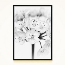 바보사랑 FA294 부추꽃 A1 A2 A3 A4 액자.시즈팝, WD01|A4사이즈
