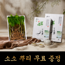 산양산삼 산양삼 산삼 7년근 제일, 5년근, 15뿌리 + 소소 5뿌리, 1개
