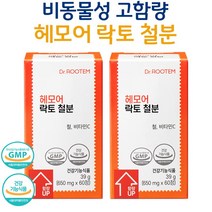 닥터루템 헤모어 락토 철분 임산부 비동물성 비헴철 철분제 사은품 증정, 2개, 60정