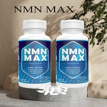 NMN MAX 500mg 120정 Non-GMO NO글루틴 비건 2Pack(미국직송 관부가세포함), 2통