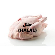 HALAL CHICKEN WHOLE(할랄통닭)육계 10마리(1마리 1100g), 냉동제품 미개봉상태에서 24시안으로 반품가능, 900G 이상