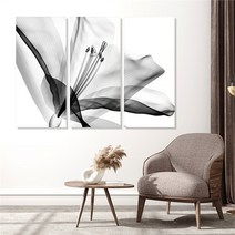 모던하우스 꽃 3분할 액자세트 대형 3세트(1pcs 50x110cm), 1.양귀비
