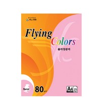 삼원 OA용지 플라잉칼라 파이롯 (A4/80g/25매), P31연청색