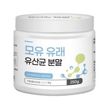 모유 유래 락토바실러스 루테리 유산균 락토핏 250g