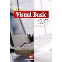실습을겸한 VISUAL BASIC 6.0, 정일