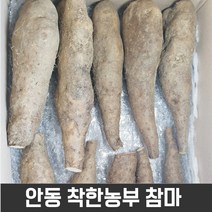 안동착한농부 참마 중품 5kg