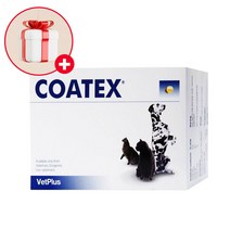 벳플러스 코텍스 블리스터 강아지 고양이 피부모질 영양제 60캡슐, 단품, 단품