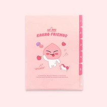 카카오프렌즈 인덱스화일 5포켓 파일A4 인덱스홀더파일, 1개, 어피치