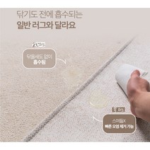 반려동물 실수 걱정없는 펫러그