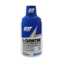 GAT L 카르니틴 자유형 아미노산 블루라즈베리 16oz 473ml