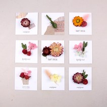 미니 드라이플라워카드 DIY 키트