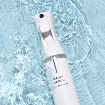 파레타 섬유탈취제 섬유향수 룸스프레이 데일리리프레셔 본품 300ml, 레이니 서울