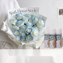 생화 스프레이 꽃 특수 염료 착색제 플라워 컬러 스프레이, 걸리 파우더 450ml 전용 컬러 친환경 포뮬