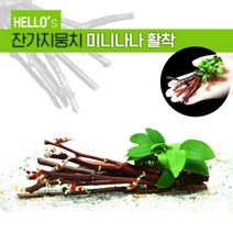 헬로아쿠아 모음)심쿵 수초아이템 160종 쉬운수초 어항장식 열대어 어항꾸미기 수족관꾸미기, 49번) 잔가지뭉치 미니나나 활착