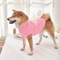 펫보스 강아지옷 스포티 맨투맨, 레드